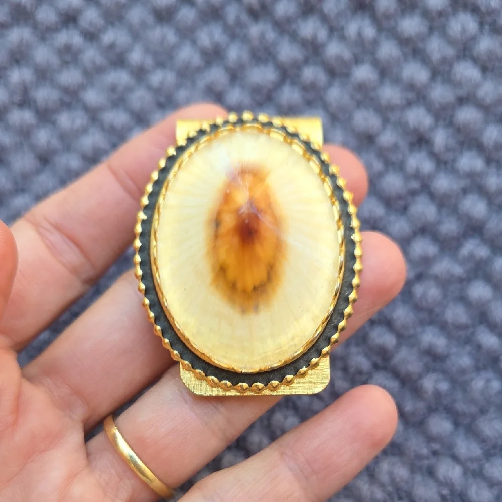 Vintage Limpet Shell Gold Tone and Cream Money Clip